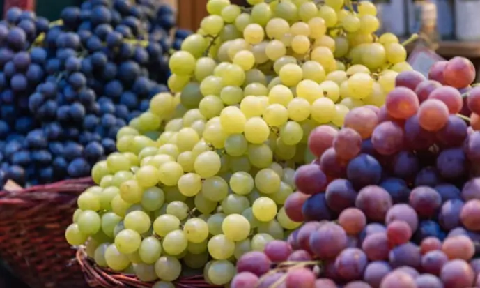 கருப்பு திராட்சை VS பச்சை திராட்சை.. உடல் எடையை குறைக்க இரண்டில் எது சிறந்தது..?