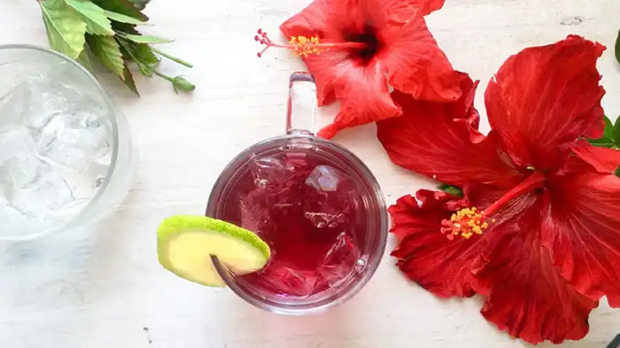 hisbiscus tea