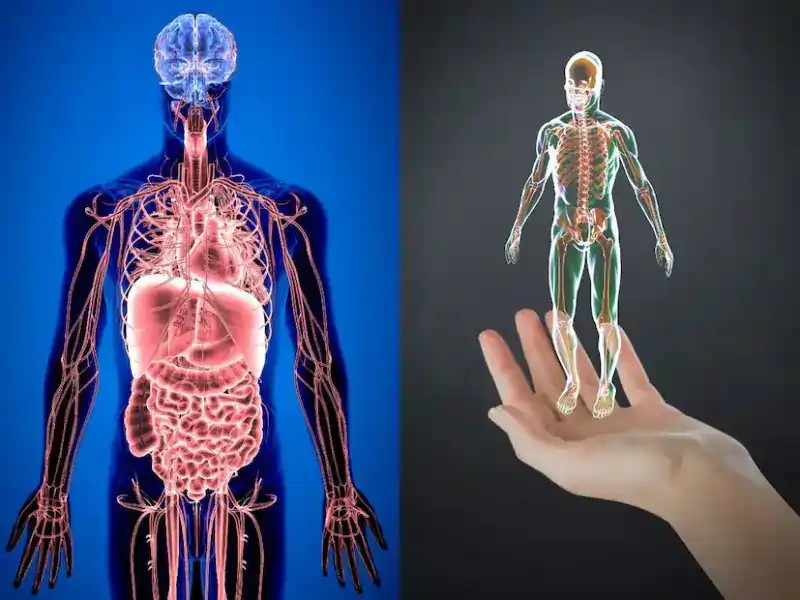 உங்கள் உடலில் இந்த 10 அறிகுறிகள் இருந்தால், நீங்கள் முழுமையாக ஆரோக்கியமாக இருக்கிறீர்கள் என்று அர்த்தம்..!