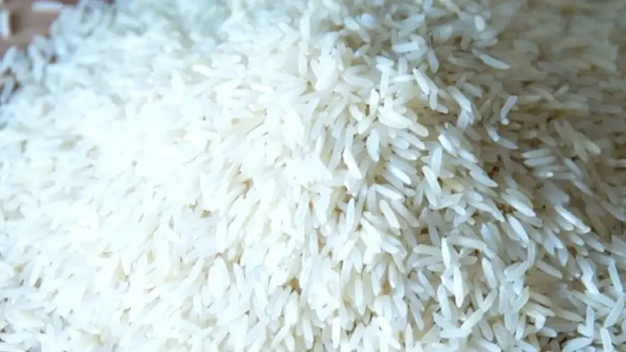 plastic rice 2
