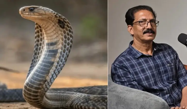 வெயில் மட்டுமல்ல.. கோடைக்காலத்தில் பாம்புகள் வீட்டுக்குள் நுழைய இதுதான் காரணம்..! – நிபுணர் விளக்கம்