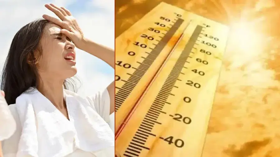 summer care 1 summer care 1