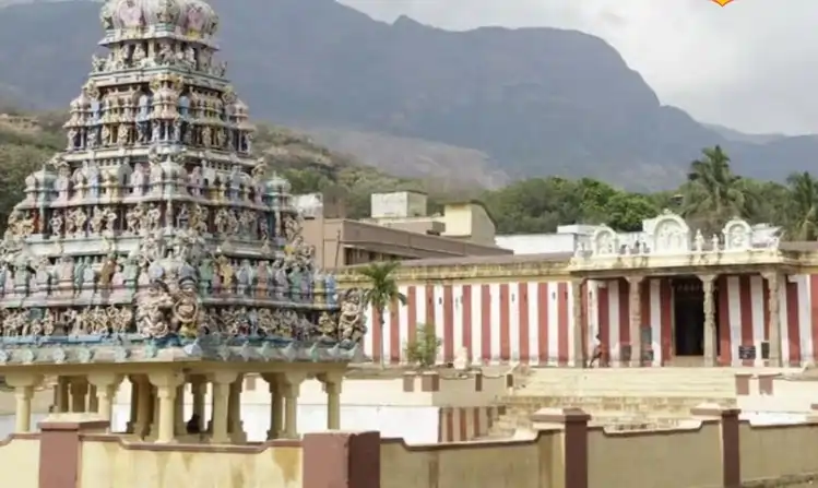 800 ஆண்டுகள் பழமை.. 16 பட்டை லிங்கம்! இரவில் சித்தர்கள் வழிபடும் அதிசய தலம்.. எங்க இருக்கு தெரியுமா..?