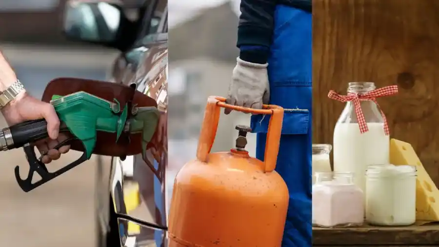 Petrol 1 1778862323159 1