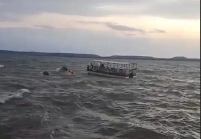 boat accident2