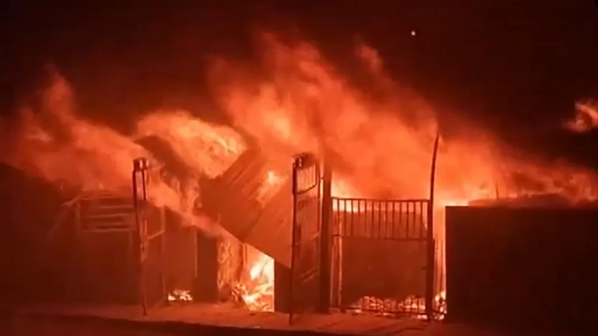 delhi fire 2