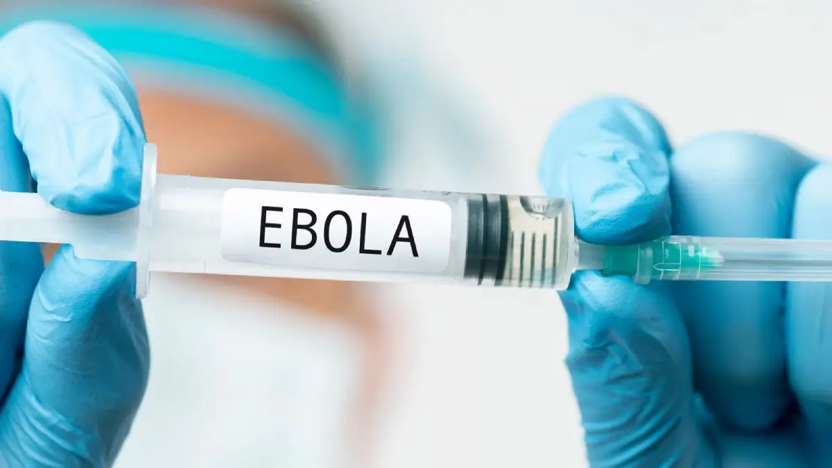 ebola virus