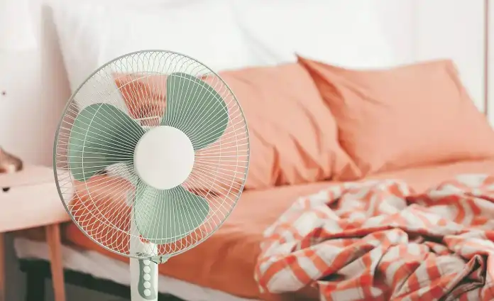 fan sleep fan sleep