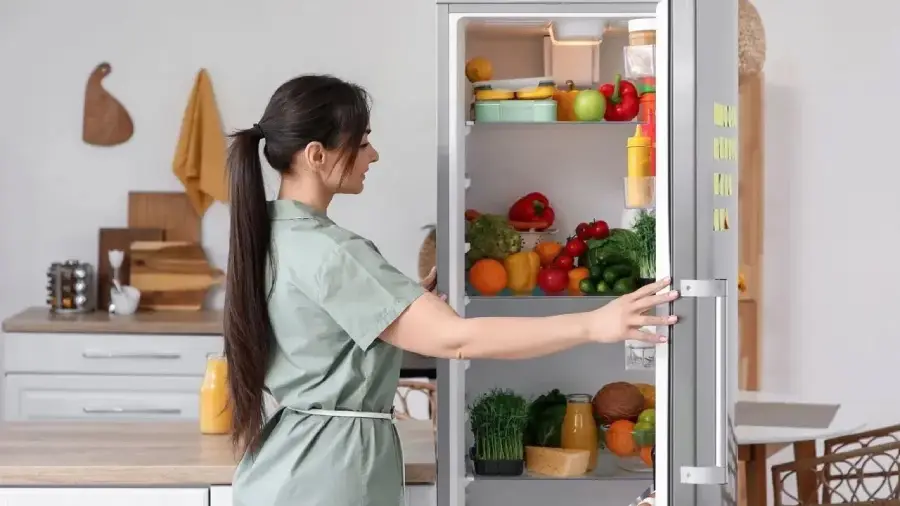 fridge 3