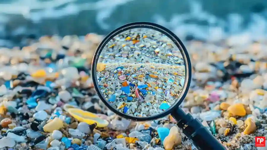 micro plastic