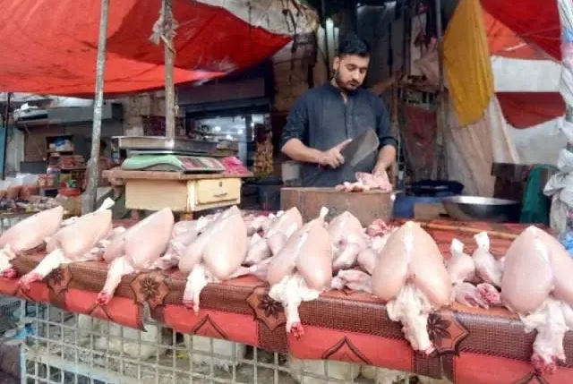 Chicken Shop 2026 e1785149383373