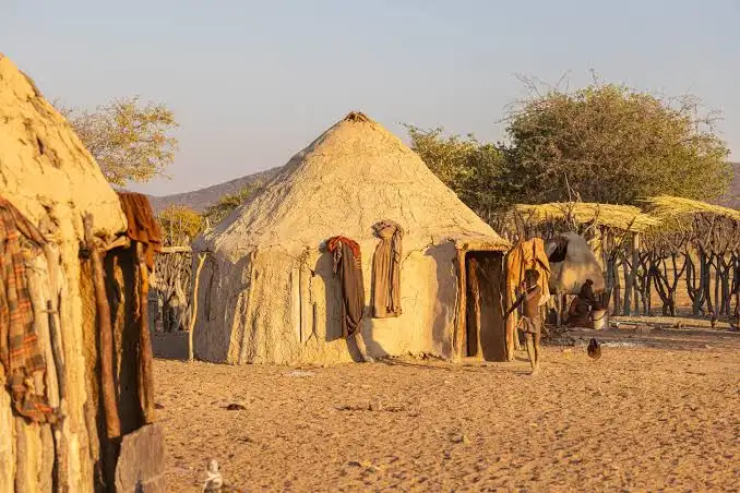 Himba 2026