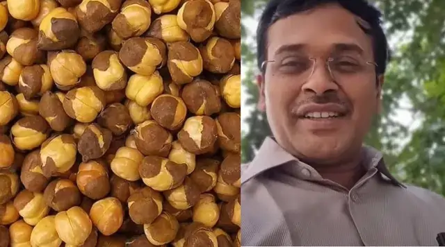அடிக்கடி இந்த ஸ்நாக்ஸ் சாப்பிடுங்க… புற்றுநோய் அபாயத்தைக் கூட குறைக்க உதவும்.. மருத்துவர் அளித்த விளக்கம்!