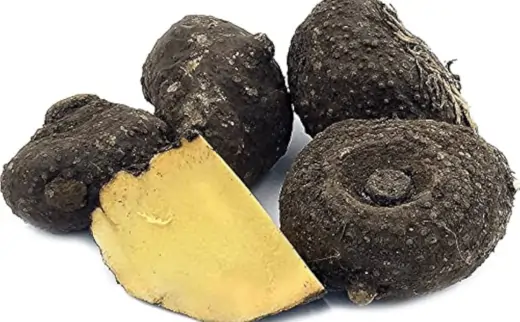 elephant foot yam