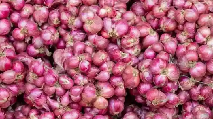 வெங்காயம் மட்டும் போதும்… இதயம் முதல் குடல் ஆரோக்கியம் வரை பல நன்மைகள் கிடைக்கும்!