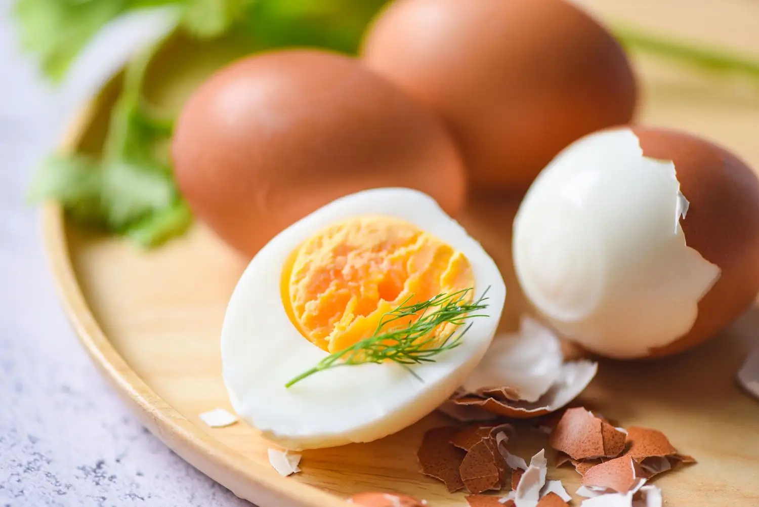 Egg 2026 Egg 2026