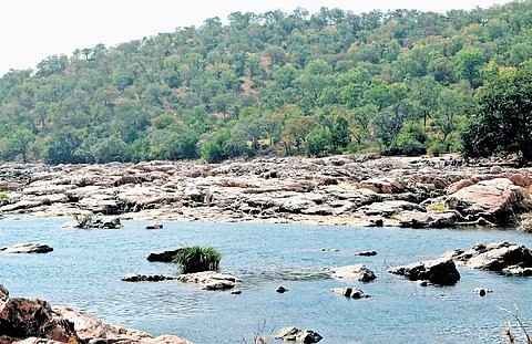 12,000 ஏக்கரை அழித்து மேகதாது அணை; 2027 ஆகஸ்டிற்குள் அடிக்கல் நாட்ட  திட்டம்!. கர்நாடக அரசின் அதிர்ச்சி ரிப்போர்ட்!