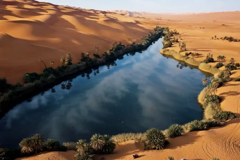 Sahara 2026