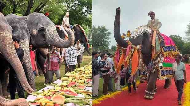 WorldElephantDay