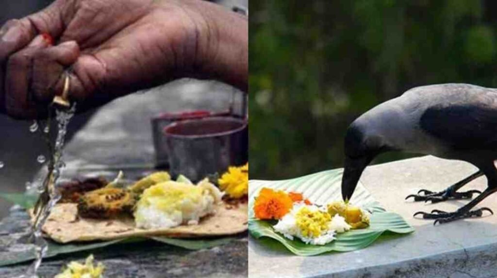 aadiamavasai