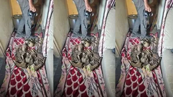 பிள்ளைகளுக்காக காத்திருந்த 57 வயது தாய்… 1½ ஆண்டுகளுக்குப் பிறகு வீட்டில் எலும்புக்கூடாக மீட்பு!