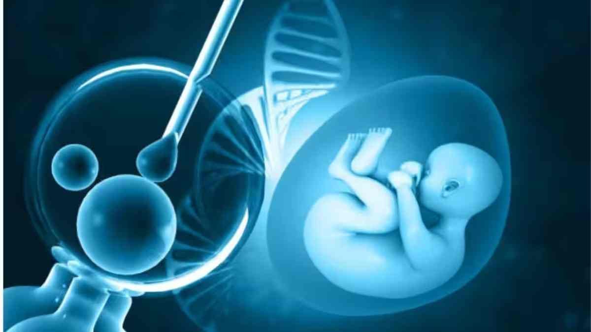 ivf treatment 30kb ivf treatment 30kb