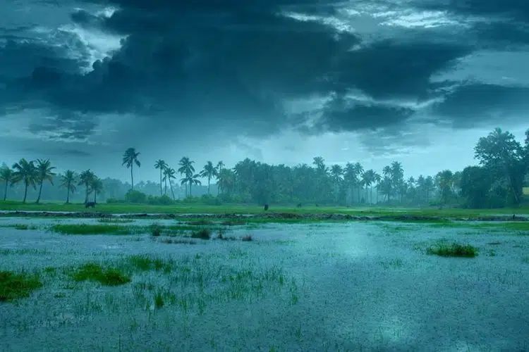 Rain 2026