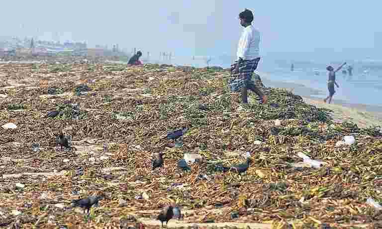 chennai beach 30kb