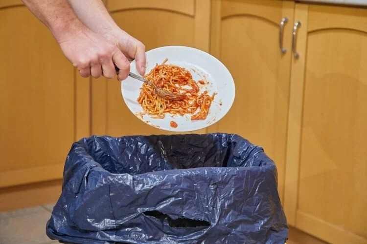 food waste 30kb